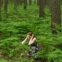 Боязнь деревьев: причины и лечение дендрофобии